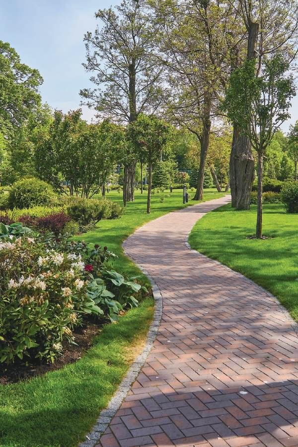 Reflexology Garden