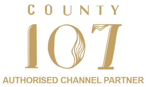logo1